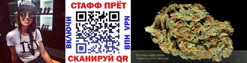 Виды наркотиков купить Черняховск ГАШ  A-PVP  МЕФ  Конопля 