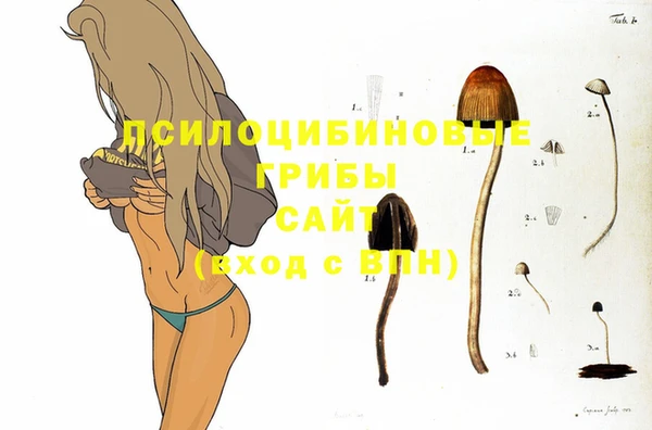 СК Баксан