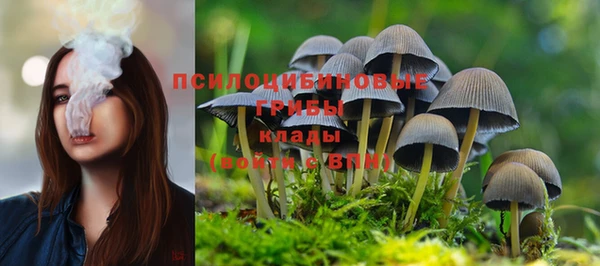 СК Баксан