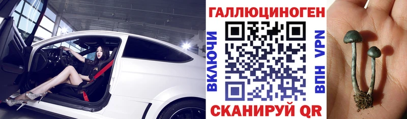 Псилоцибиновые грибы MAGIC MUSHROOMS  Черняховск 